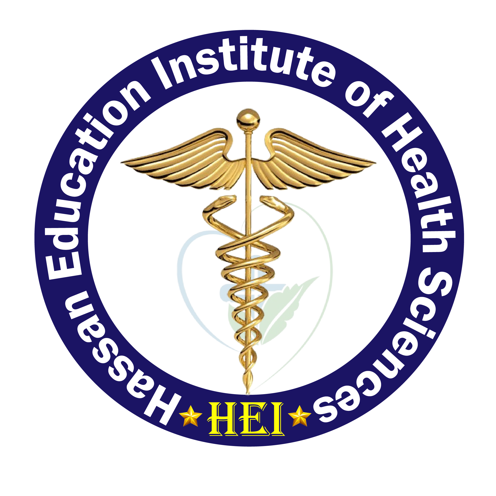 Hassan Education Institute of Health Sciences