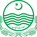 government of punjab