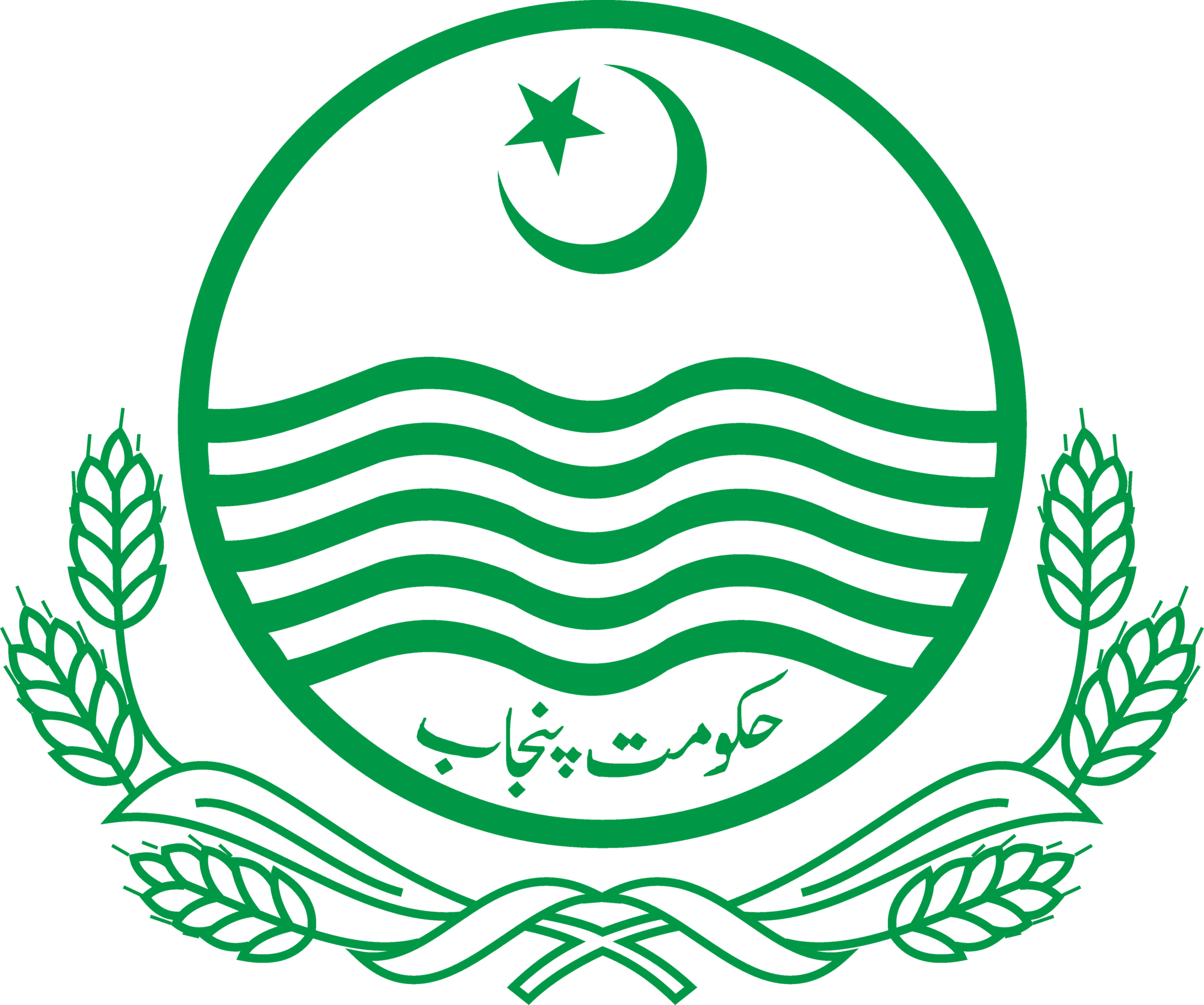 government of punjab